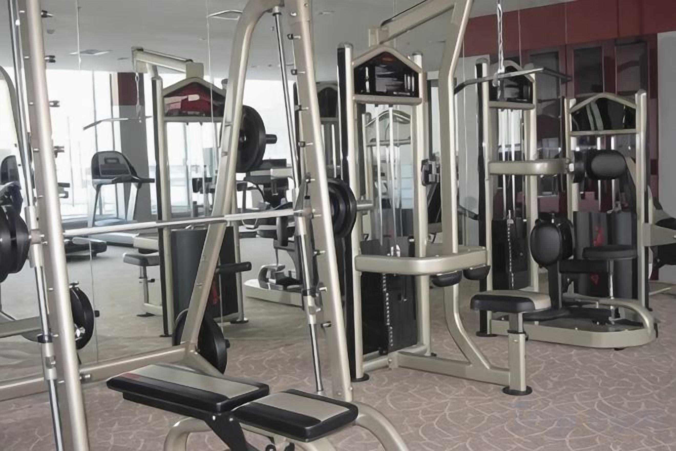 Un gimnasio con diversos equipos de ejercicio, incluyendo máquinas de pesas y pesas libres.