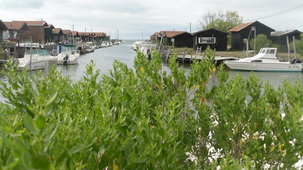 Un puerto deportivo con barcos amarrados y edificios de madera a lo largo del agua.