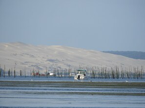 在海灘附近