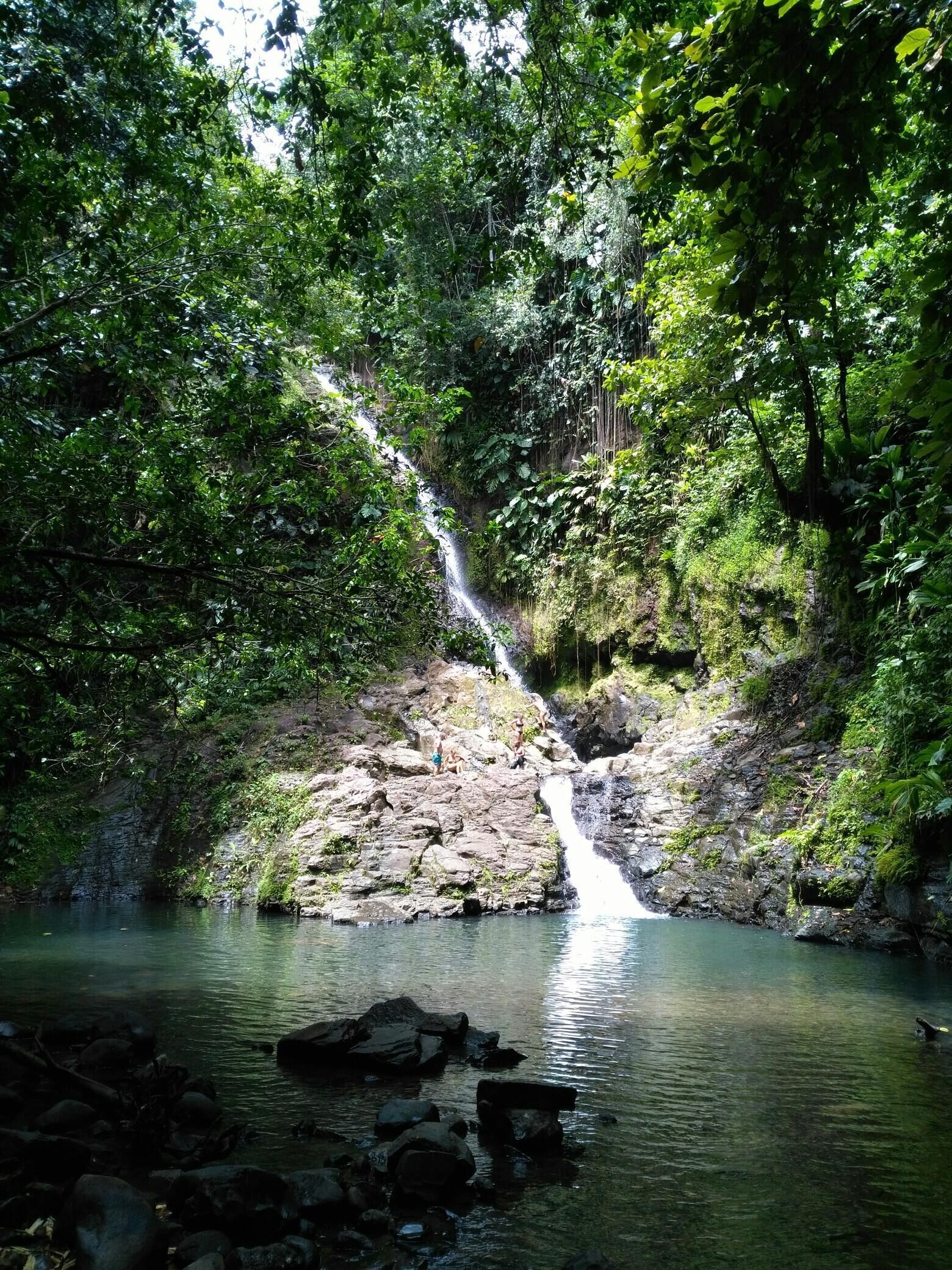 A waterfall in a forested area with a rocky foreground and a clear water pool.