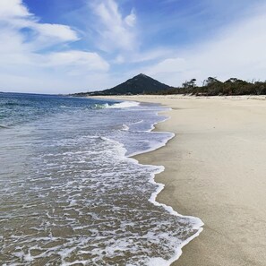 Une plage avec une montagne en arrière-plan.
