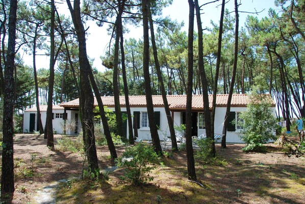A white building with a tiled roof surrounded by tall pine trees.