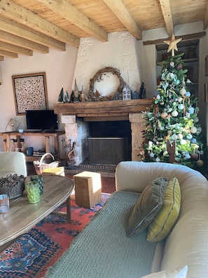 TV, fireplace, DVD player, books