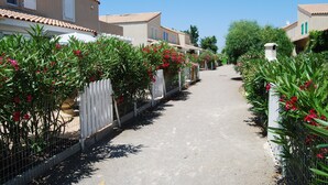A residential street with houses on either side, a paved path, and flowering plants along the fences. - PORTIRAGNES BEACH. HOUSE T3 IN RESIDENCE WITH POOL 700m FROM THE BEACH. (Portiragnes)