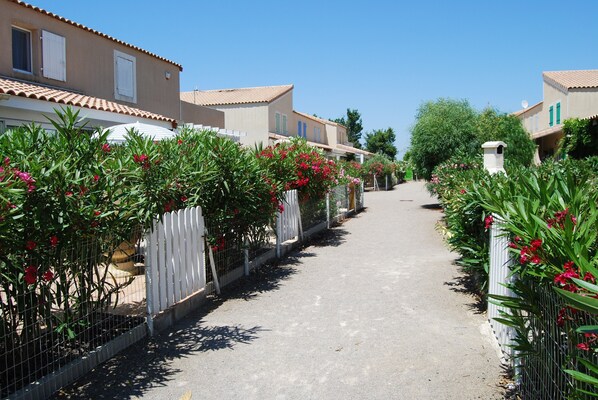 A residential street with houses on either side, a paved path, and flowering plants along the fences.