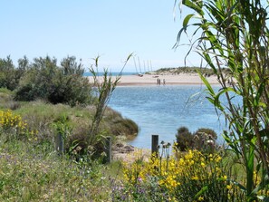 A beach with a calm sea, grassy areas, and wildflowers.