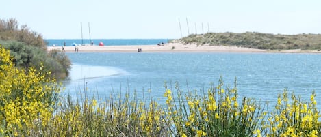 In StrandnÀhe