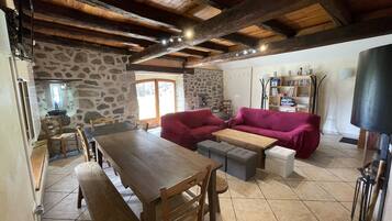 TV connectée, cheminée, lecteur de DVD, livres