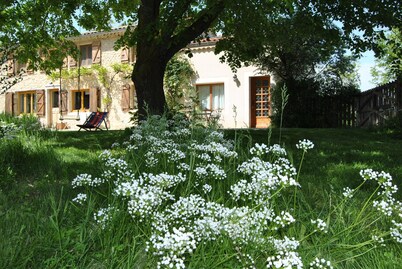 Drome Provencale house