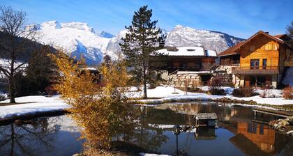 Grand T1 cosy avec vue magique sur les montagnes des Aravis