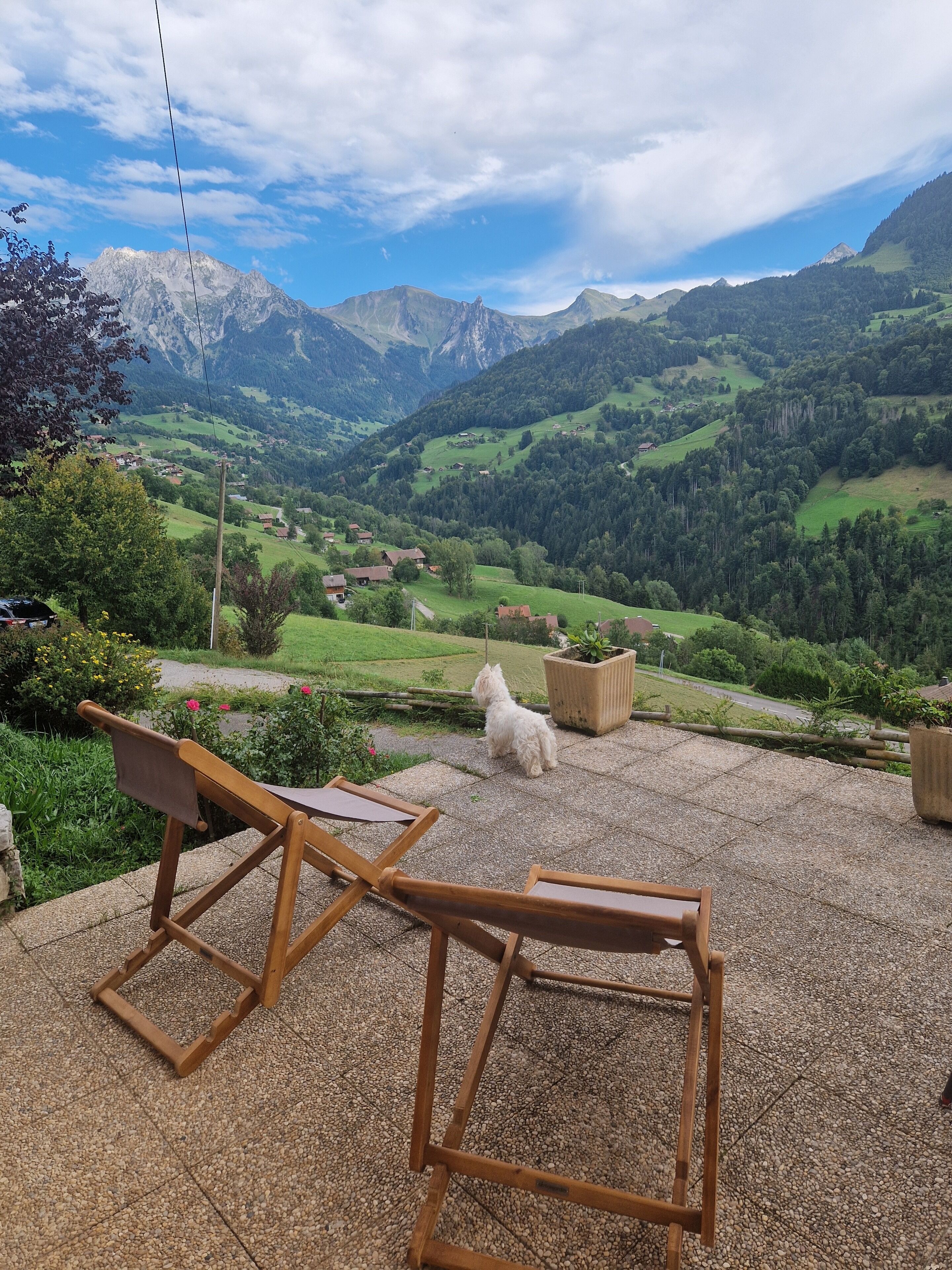 Áreas de la propiedad