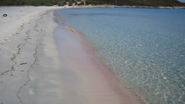 Une plage à l’eau claire, un rivage sablonneux et un paysage vallonné en arri ère-plan.