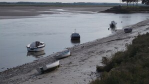 Une rive où plusieurs bateaux sont amarrés le long du rivage.