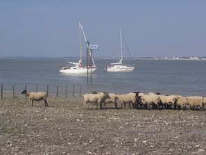 Plage à proximité
