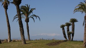 Un paysage avec des palmiers et une chaîne de montagnes à l’horizon.