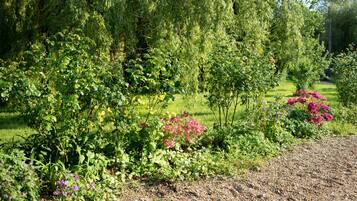 Jardines del alojamiento