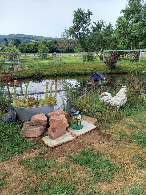 Ein Garten mit Teich, Zierfiguren und einem umzäunten Bereich mit Grünpflanzen im Hintergrund.