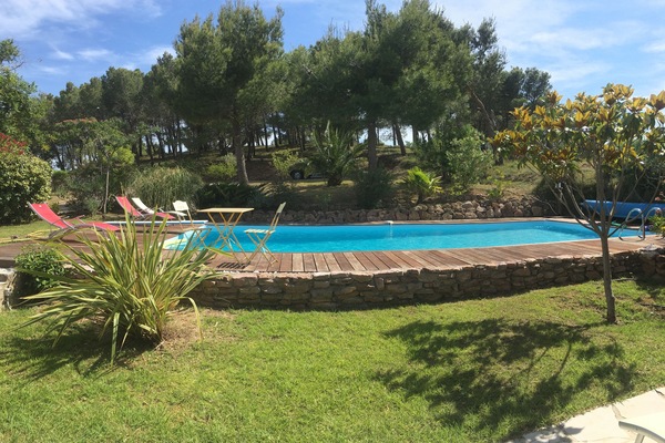 Jolie pinède, vue de la terrasse