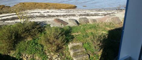 Uitzicht op strand/zee