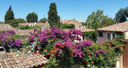 Au coeur du village, belle villa 100m2, clim, 8 pers, 3 terrasses, jardin fleuri