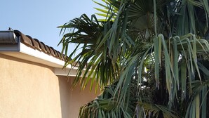 Un edificio con techo de tejas y una palmera al frente. Se ve una puerta y una ventana.
