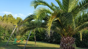 Un jardín con palmeras y un columpio.