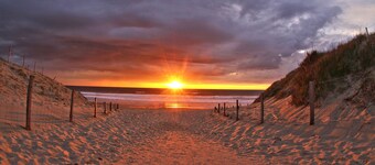 VILLA 4* CLIMATISEE  PISCINE CHAUFFEE SECURISEE PROCHE  D'HOSSEGOR   CAPBRETON