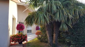 Un edificio de fachada blanca, una palmera y cestas de flores colgantes.