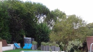 Una piscina rectangular con superficie de agua azul cristalina, rodeada por un césped cuidado y diversas plantas.