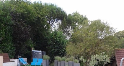 Cabaña de madera en el agua
