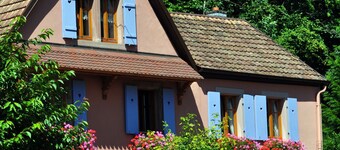 Cottage in a quiet and green ski trails near hiking