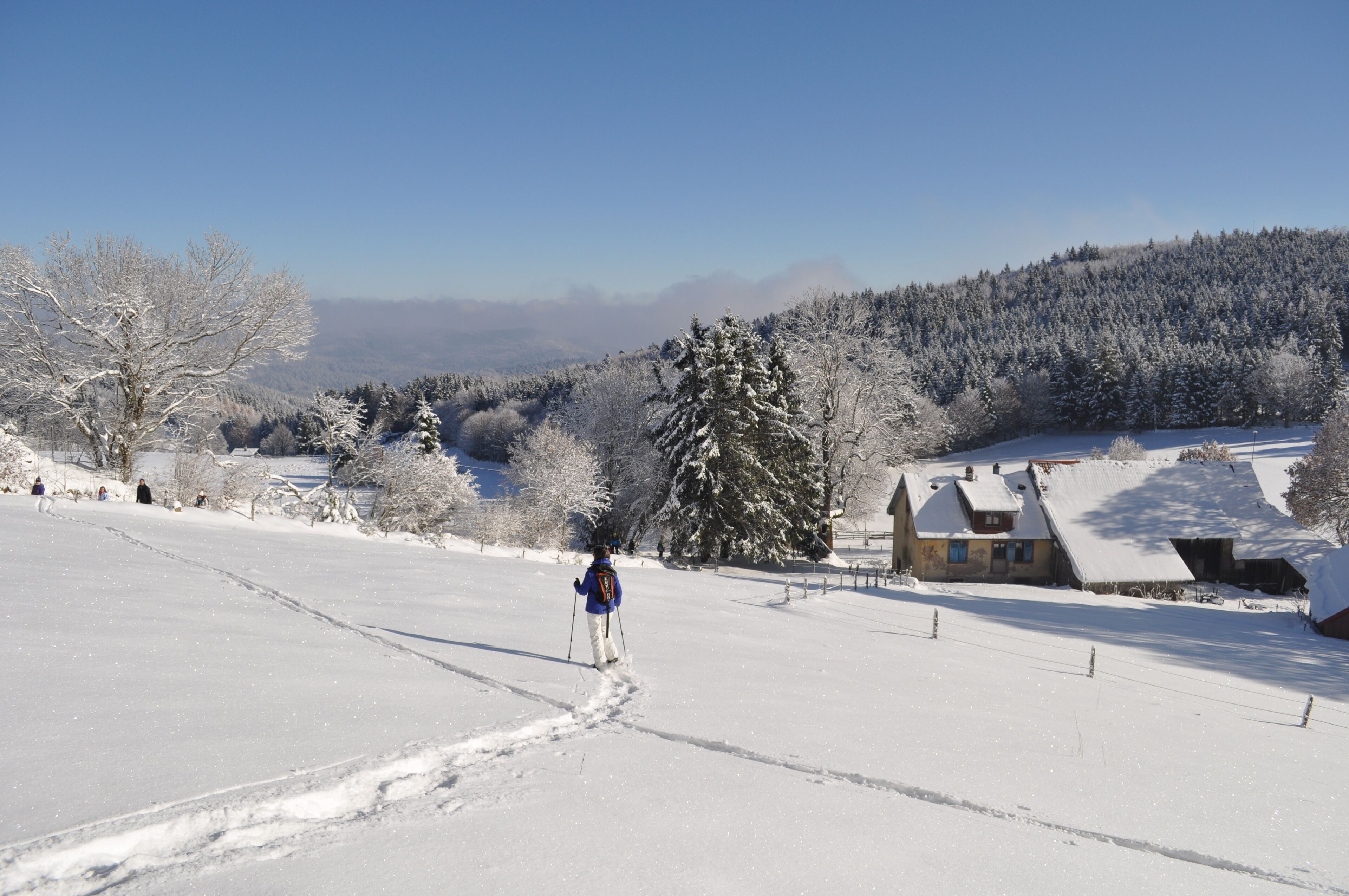 A snow-covered landscape with a person skiing, houses, and a forest in the background.