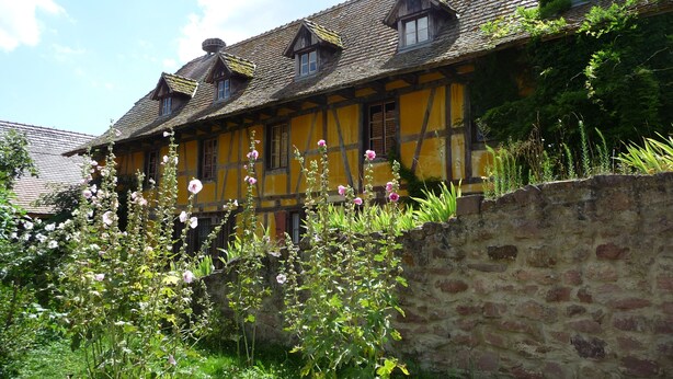 A traditional half-timbered house with a stone wall and flowering plants in front. - Cottage in a quiet and green ski trails near hiking (Maisonsgoutte)