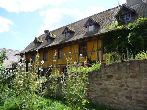 Cottage in a quiet and green ski trails near hiking
