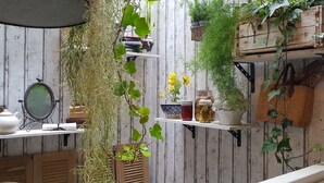 A rustic room with wooden walls, shelves with plants, a teapot, and a mirror. - Lotus-Essaouira .com SEA VIEW - PRIVATE TERRACE - near BEACH (ESSAOUIRA)