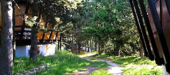 Chalet  4/5 pers à Pyrénées 2000 dans  une clairière  de pins près de Font Romeu