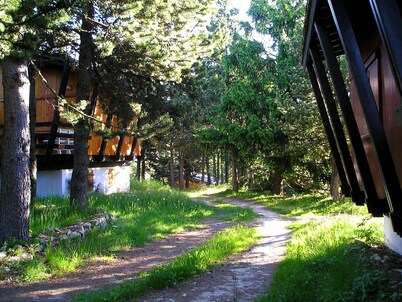 Chalet 4/5 people in Pyrénées 2000 in a pine glade near Font Romeu