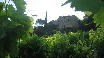 DĂ©tail de lâextĂ©rieur