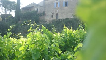 Details aan de buitenkant