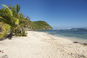 A beach with white sand, palm trees, and a clear blue sky.