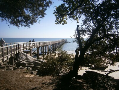 Au Vieil, house with spa, sauna, bikes 200m from the beach and shops