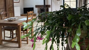 Un comedor con una mesa y sillas de madera, una planta en maceta y vista a la cocina a través de un umbral abierto.