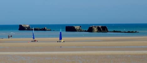 Plage, chaises longues