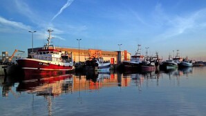 Un puerto deportivo con varias embarcaciones amarradas, un edificio de techo rojo y un cielo despejado.