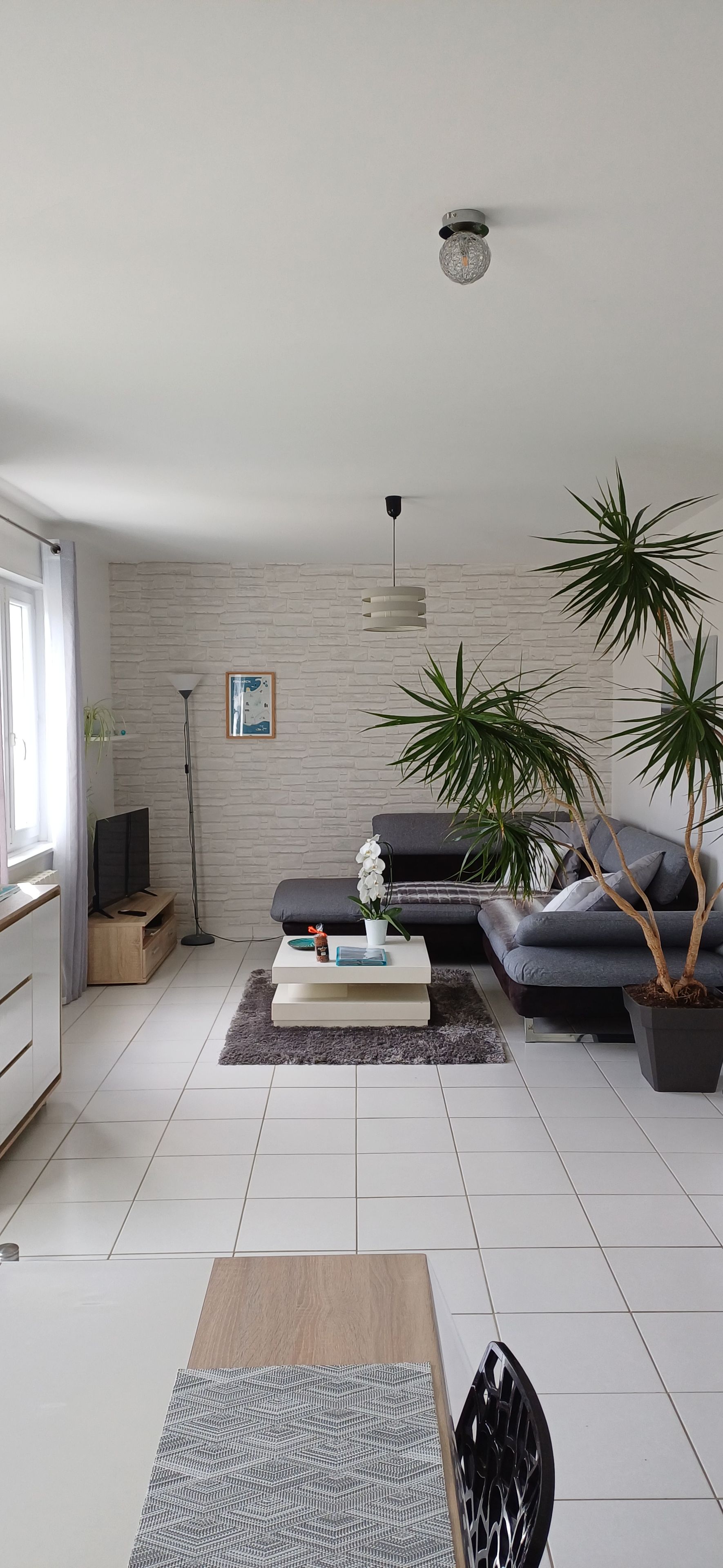 Ein modernes Wohnzimmer mit einer Couch, einem Couchtisch und Zimmerpflanzen.