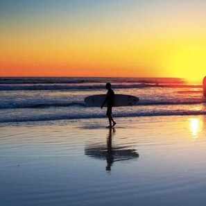 Guests can enjoy serene beach views and tranquil ocean waves.