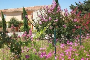 Jardines del alojamiento