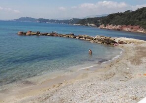 بالقرب من الشاطئ