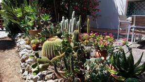 A garden with various cacti and succulents, a wooden bench, and a white fence. - Villa with private pool . Seaside and countryside. Beach 10 min walk. (Le Pradet)