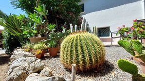 A garden with various cacti and succulents, a white building, and a gravel path. - Villa with private pool . Seaside and countryside. Beach 10 min walk. (Le Pradet)